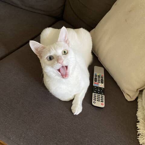 Winnie