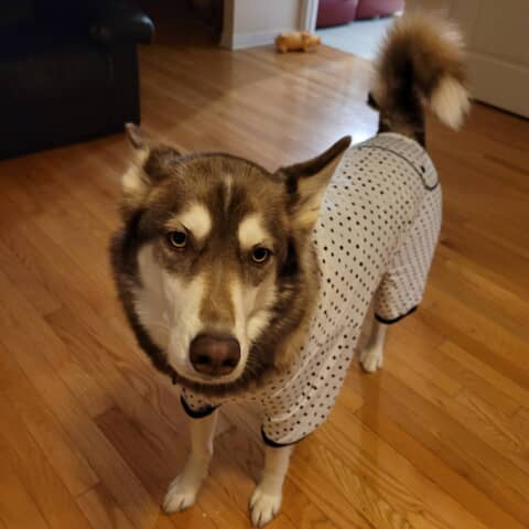 LUNA