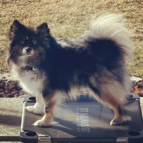 Finley