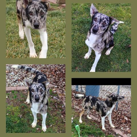 Axle