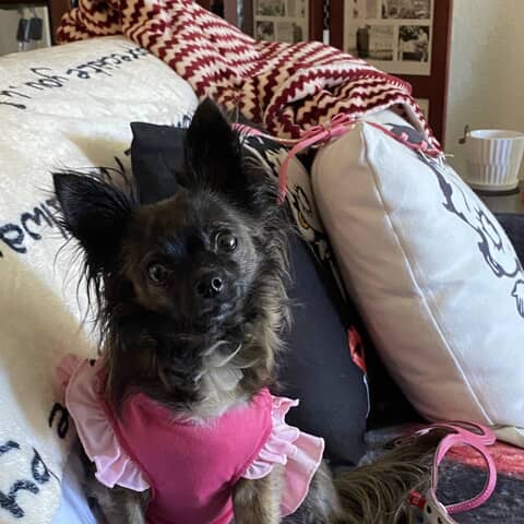 Tinkerbell