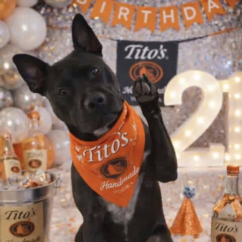 Tito