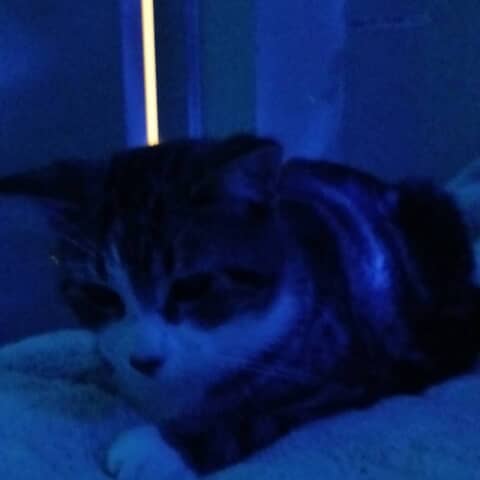 George