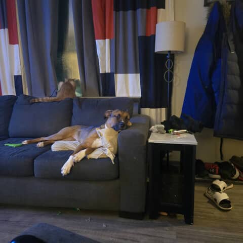 Luna