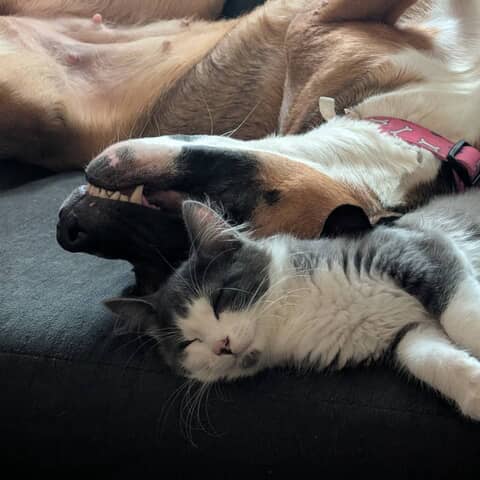 Luna and bugs