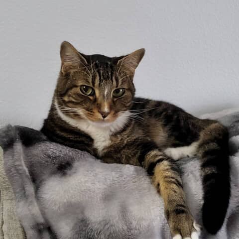 Axl