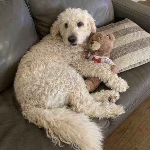 Archie