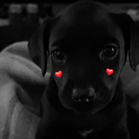 Rosie