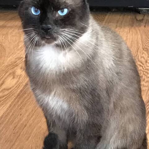 Bob