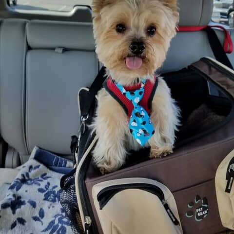 coco