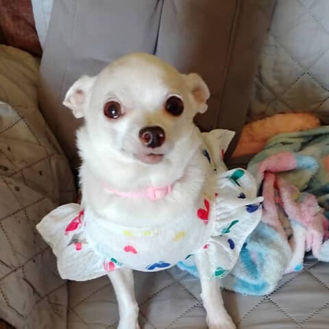 Tinkerbell