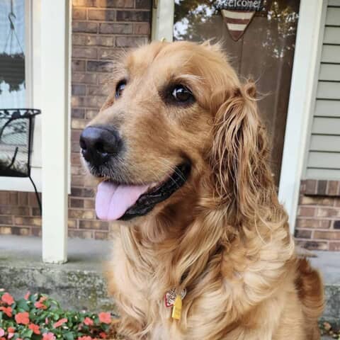 hugo