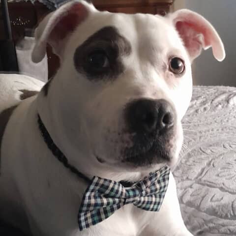 Capone