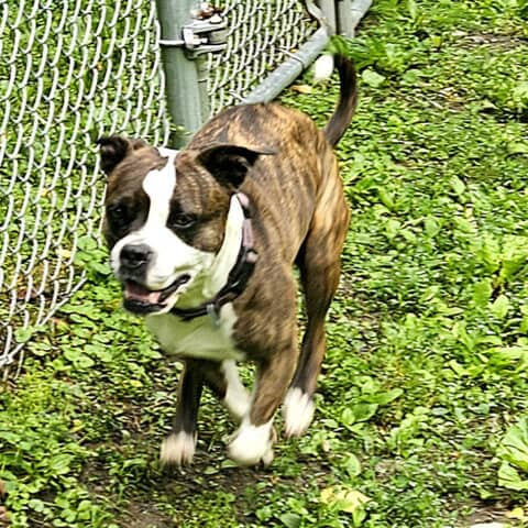 Molly