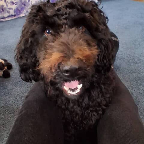 Maxx