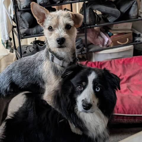 Mimi and Delilah