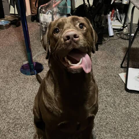 Riley