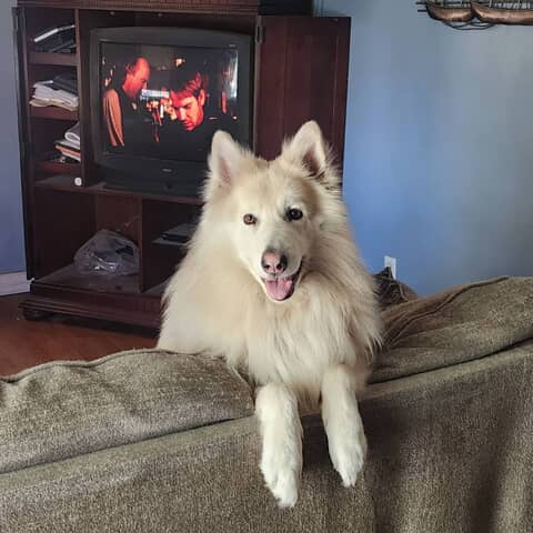 Timber