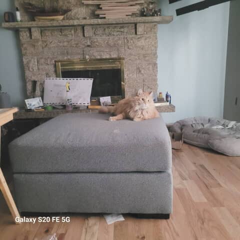 TIGGER