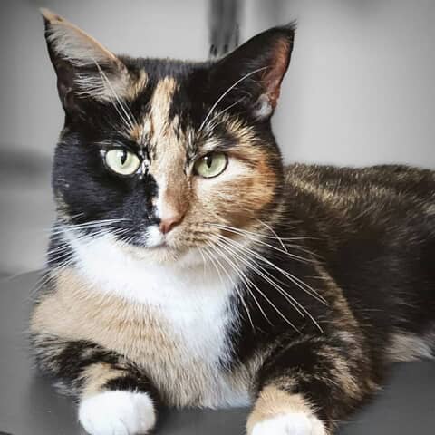 Mia