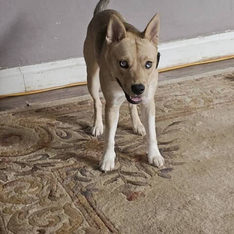 Luna