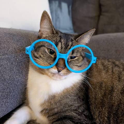Winnie
