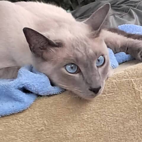 Leroy