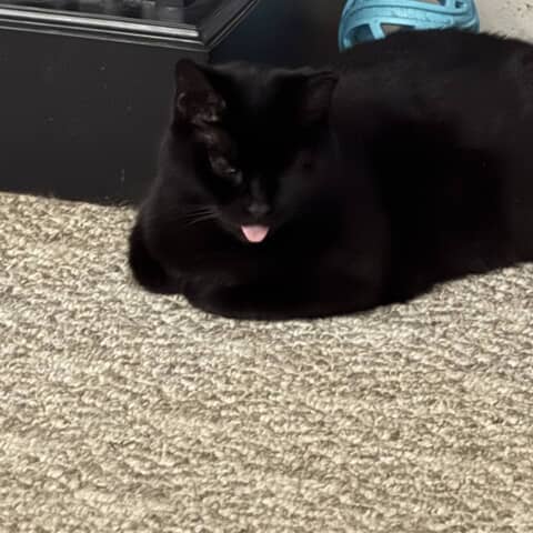 Salem