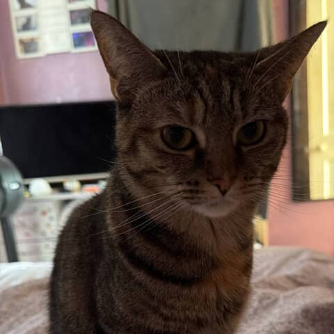 Bonnie