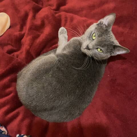 Lilou