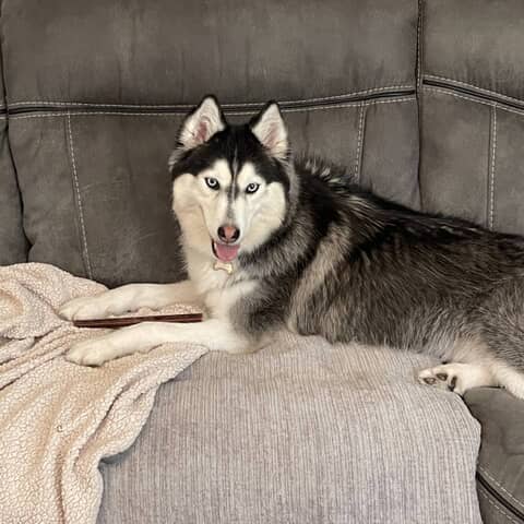 Remi