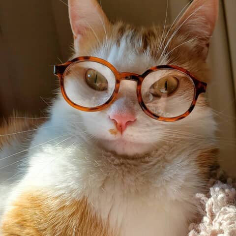 Bowie