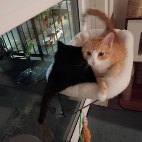 Lucy and Ricky