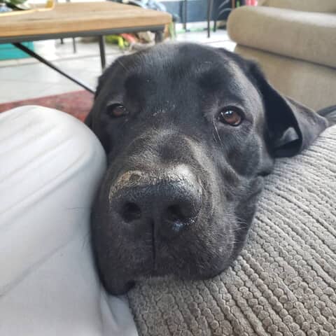Charlie