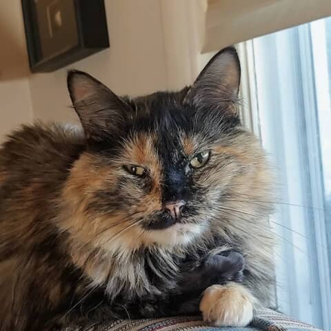 Lily