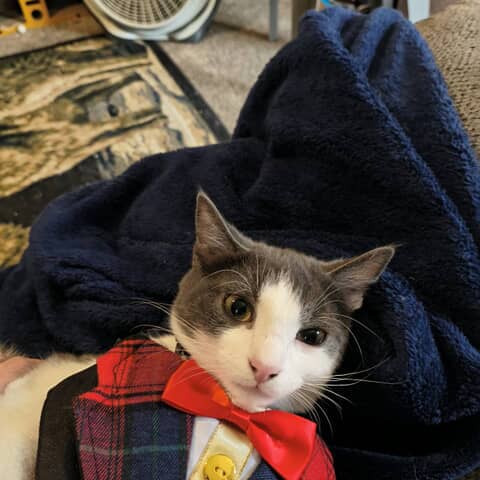 Milo