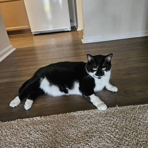 Salem