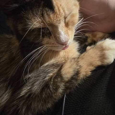 Little boo