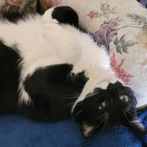 Carlos