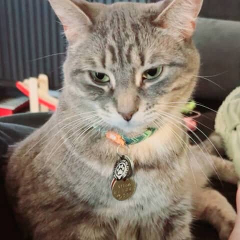 Kaia