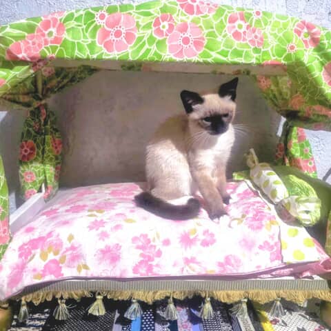 Suki