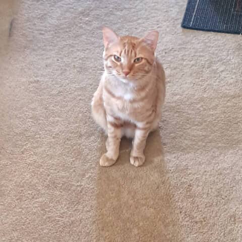 Clarence