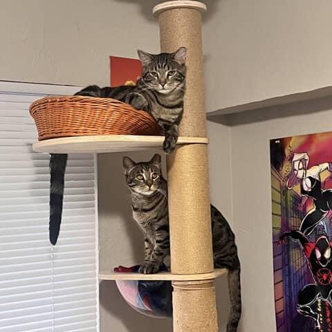 Mercy and Joel