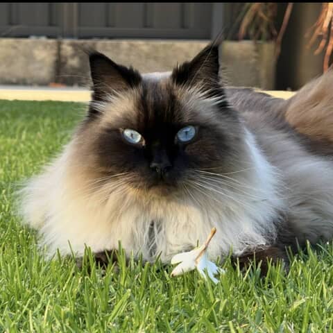 Casper