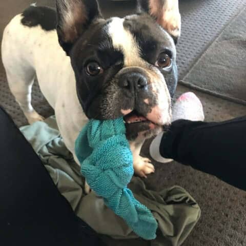 Bettyboo