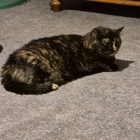 Missy