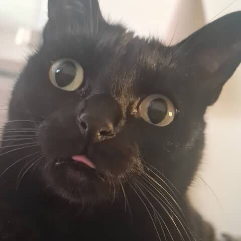Blacki