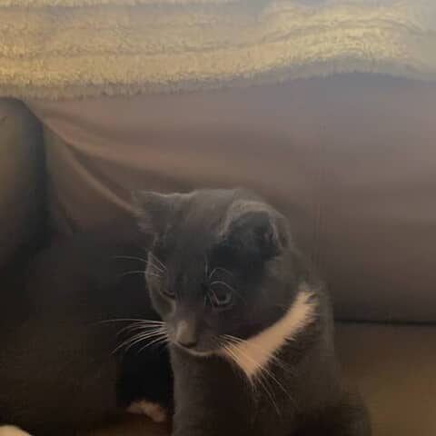 Binky