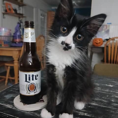 Eleanor