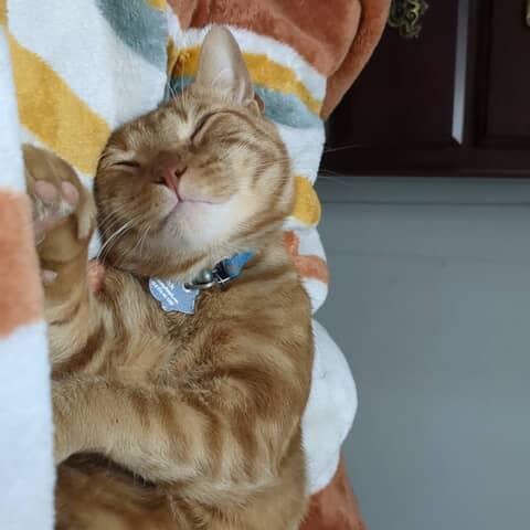 Oliver